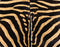 Zebra Notebook 9 Pro 13in (2017) Skin